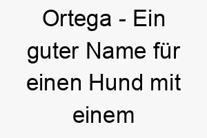 ortega ein guter name fuer einen hund mit einem starken charakter oder einer hispanischen abstammung 23817