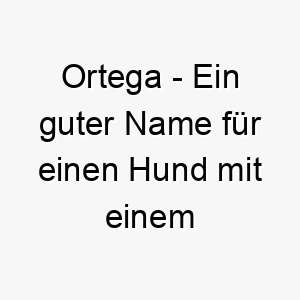 ortega ein guter name fuer einen hund mit einem starken charakter oder einer hispanischen abstammung 23817