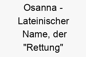 osanna lateinischer name der rettung bedeutet 7288