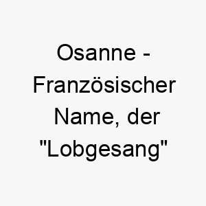 osanne franzoesischer name der lobgesang bedeutet 7356 2