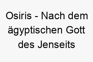 osiris nach dem aegyptischen gott des jenseits benannt koennte dies zu einem mysterioesen oder majestaetischen hund passen 23872