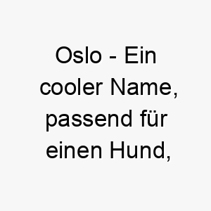 oslo ein cooler name passend fuer einen hund der schnee oder kaltes wetter liebt 23904