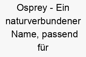 osprey ein naturverbundener name passend fuer einen hund der voegel oder die natur liebt 23886