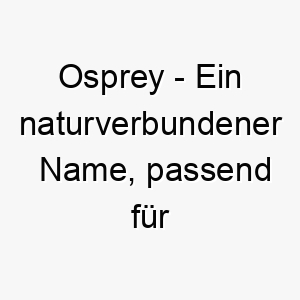 osprey ein naturverbundener name passend fuer einen hund der voegel oder die natur liebt 23886