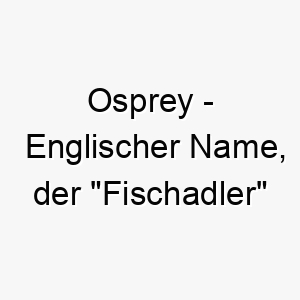 osprey englischer name der fischadler bedeutet 7370