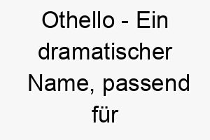 othello ein dramatischer name passend fuer einen intensiven oder leidenschaftlichen hund 23946