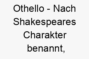 othello nach shakespeares charakter benannt waere dies ein guter name fuer einen dramatischen oder intensiven hund 23844