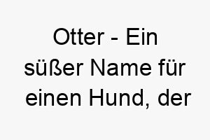 otter ein suesser name fuer einen hund der gerne schwimmt oder im wasser spielt 23932