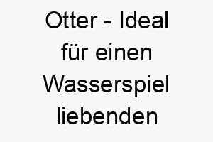 otter ideal fuer einen wasserspiel liebenden hund der gerne schwimmt 23777