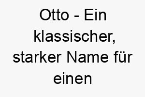 otto ein klassischer starker name fuer einen hund 23903