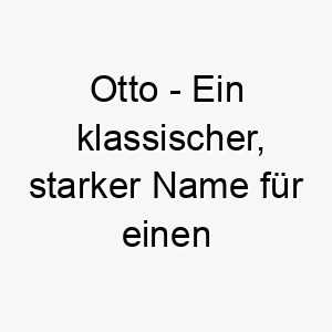 otto ein klassischer starker name fuer einen hund 23903