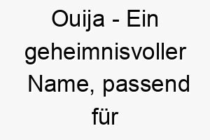 ouija ein geheimnisvoller name passend fuer einen hund der dich auf eine oder andere weise ueberrascht 23821