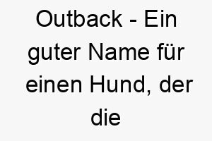 outback ein guter name fuer einen hund der die natur liebt oder ein australischer rassehund ist 23794