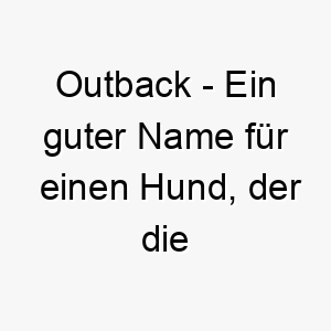 outback ein guter name fuer einen hund der die natur liebt oder ein australischer rassehund ist 23794