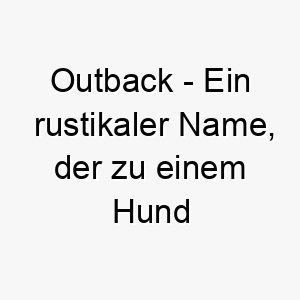 outback ein rustikaler name der zu einem hund passt der das freie liebt 23938