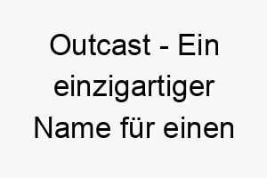 outcast ein einzigartiger name fuer einen unabhaengigen oder rebellischen hund 23845