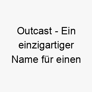 outcast ein einzigartiger name fuer einen unabhaengigen oder rebellischen hund 23845