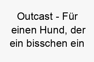 outcast fuer einen hund der ein bisschen ein einzelgaenger ist 23905