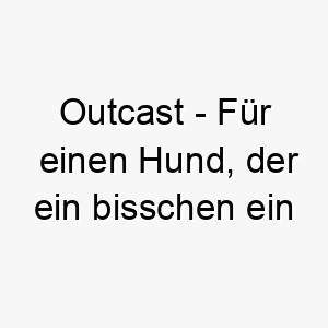 outcast fuer einen hund der ein bisschen ein einzelgaenger ist 23905