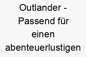 outlander passend fuer einen abenteuerlustigen hund der das unbekannte liebt 23810