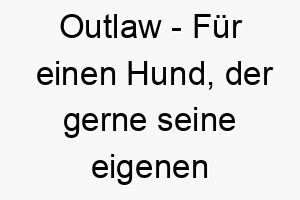 outlaw fuer einen hund der gerne seine eigenen regeln macht 23861