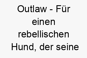 outlaw fuer einen rebellischen hund der seine eigenen regeln macht 23781