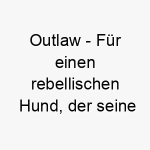 outlaw fuer einen rebellischen hund der seine eigenen regeln macht 23781