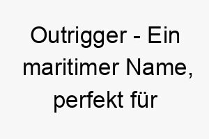 outrigger ein maritimer name perfekt fuer einen hund der das wasser liebt 23876