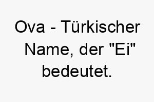 ova tuerkischer name der ei bedeutet 7420