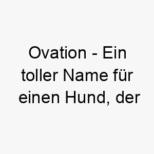 ovation ein toller name fuer einen hund der immer im mittelpunkt der aufmerksamkeit steht 23829