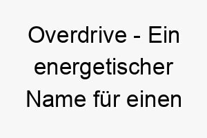 overdrive ein energetischer name fuer einen hund der immer auf hochtouren laeuft 23882