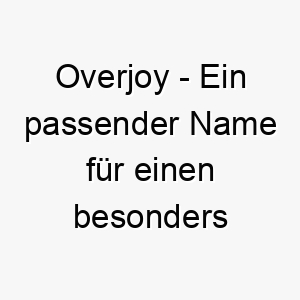 overjoy ein passender name fuer einen besonders froehlichen oder gluecklichen hund 23847