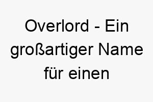 overlord ein grossartiger name fuer einen dominanten und autoritaeren hund 23822