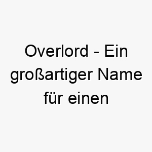 overlord ein grossartiger name fuer einen dominanten und autoritaeren hund 23822