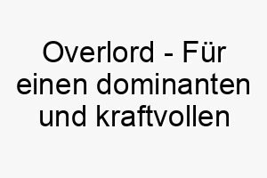 overlord fuer einen dominanten und kraftvollen hund 23866