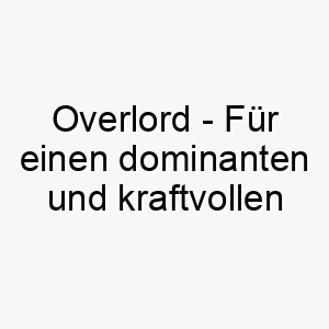 overlord fuer einen dominanten und kraftvollen hund 23866