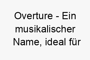 overture ein musikalischer name ideal fuer einen hund der gerne heult oder singt 23887