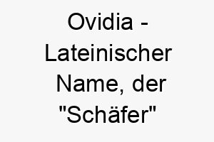 ovidia lateinischer name der schaefer bedeutet 7353