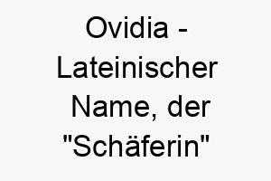 ovidia lateinischer name der schaeferin bedeutet 7443