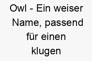 owl ein weiser name passend fuer einen klugen oder nachtaktiven hund 23941