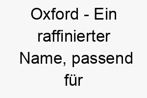 oxford ein raffinierter name passend fuer einen intelligenten oder wuerdevollen hund 23792