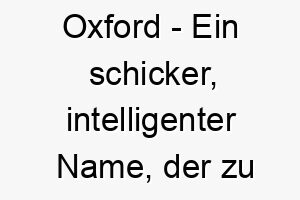 oxford ein schicker intelligenter name der zu einem sehr klugen hund passt 23906