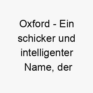 oxford ein schicker und intelligenter name der zu einem hochintelligenten oder gut erzogenen hund passt 23928