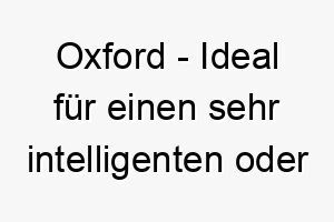 oxford ideal fuer einen sehr intelligenten oder vornehmen hund 23816