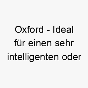 oxford ideal fuer einen sehr intelligenten oder vornehmen hund 23816