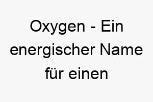 oxygen ein energischer name fuer einen lebhaften energiegeladenen hund 23838