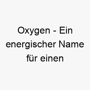 oxygen ein energischer name fuer einen lebhaften energiegeladenen hund 23838