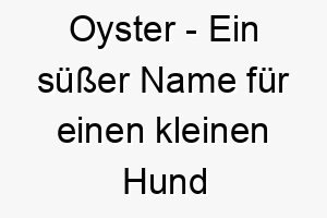 oyster ein suesser name fuer einen kleinen hund oder einen der etwas besonderes ist 23890