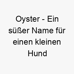 oyster ein suesser name fuer einen kleinen hund oder einen der etwas besonderes ist 23890