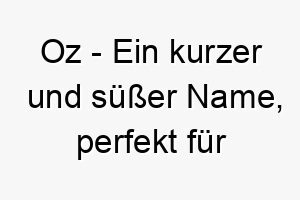 oz ein kurzer und suesser name perfekt fuer einen kleinen oder zauberhaften hund 23846